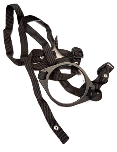 10038558 10038558.jpg