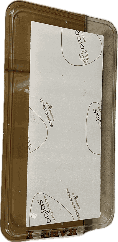 10300930695 10300930695.png