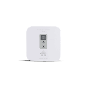 Gassalarm Housegard 12V + 230V